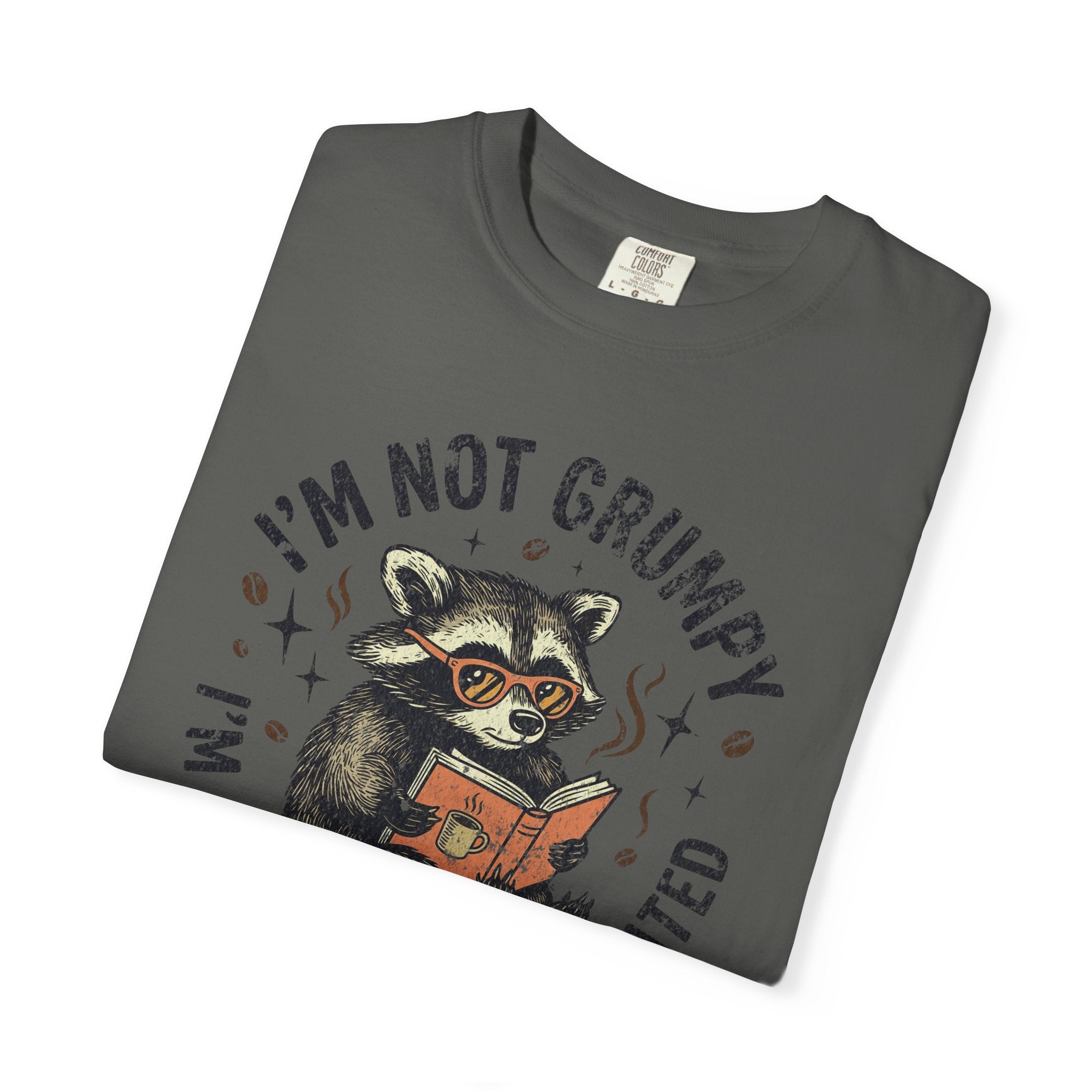 A dark gray t-shirt featuring a graphic of a raccoon wearing glasses and reading a book.