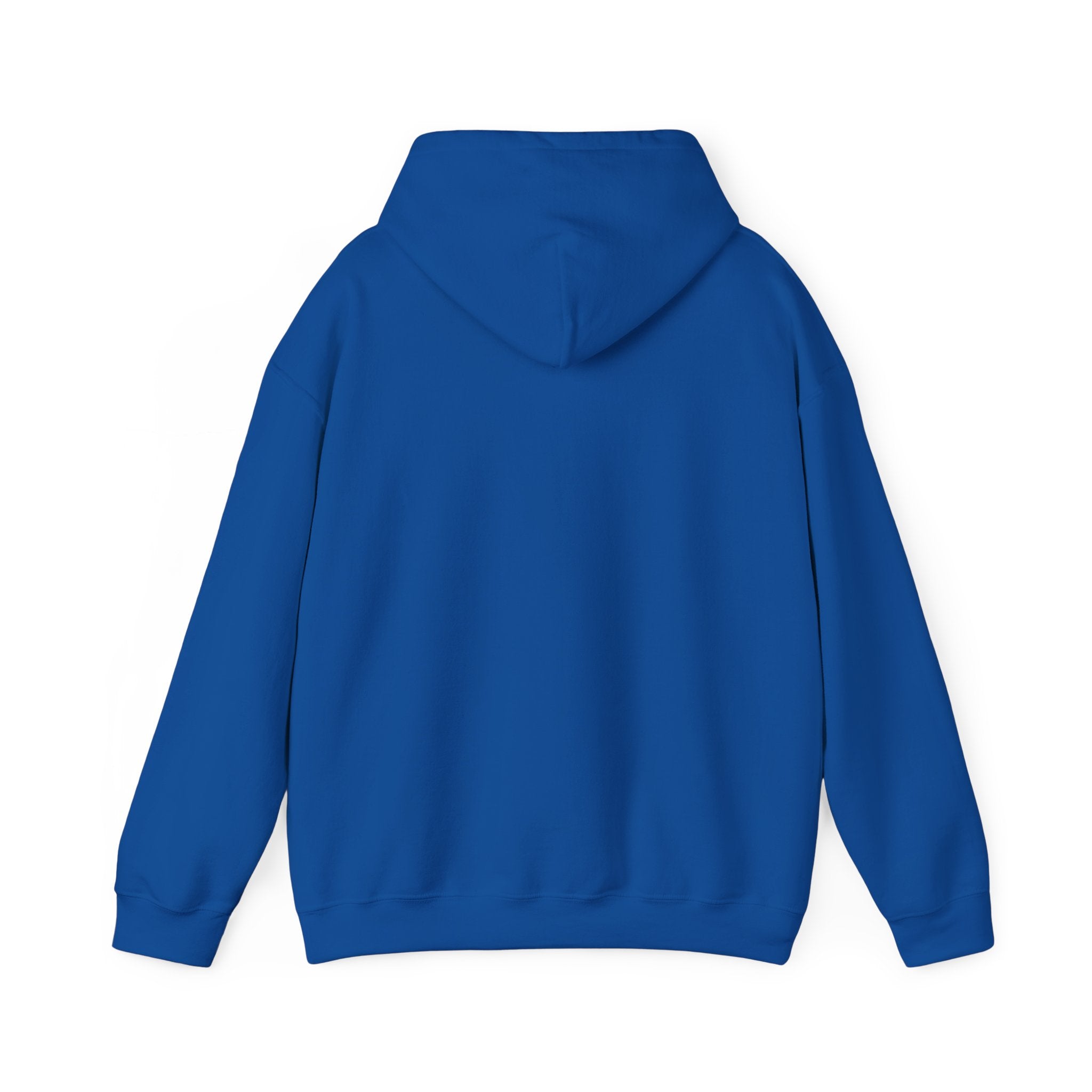 A blue hoodie with a hood and long sleeves.