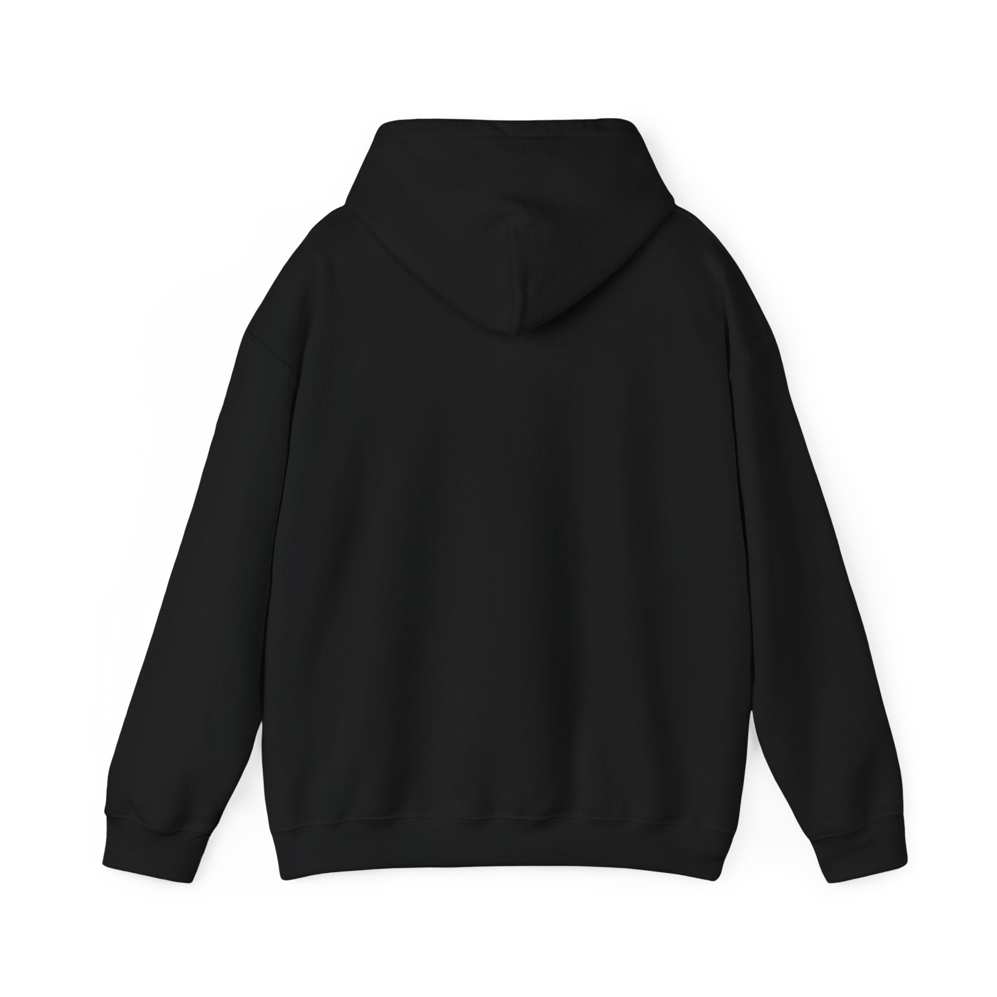 Black hoodie with a plain back.