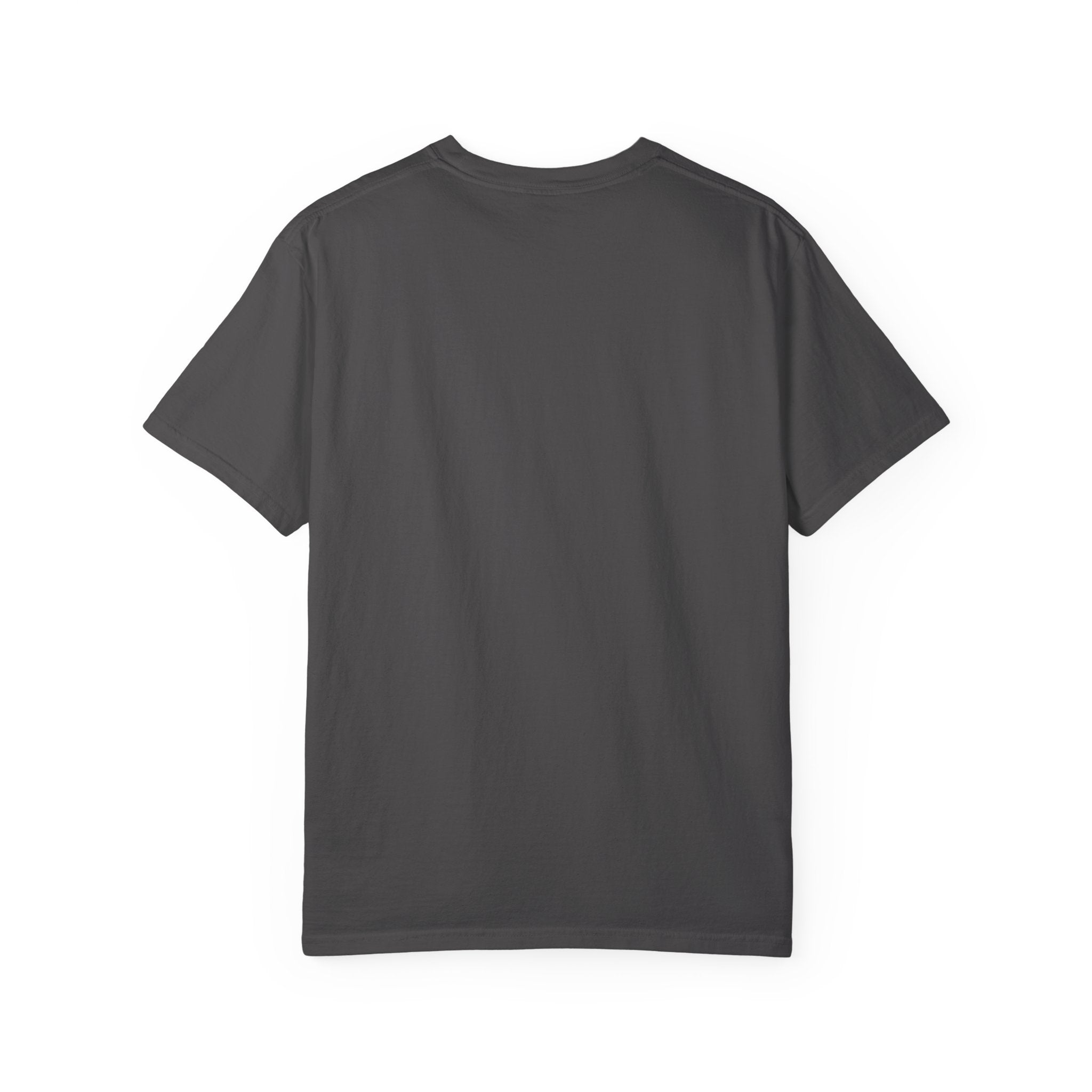 Back view of a plain dark grey Comfort Colors 1717 cotton t-shirt.