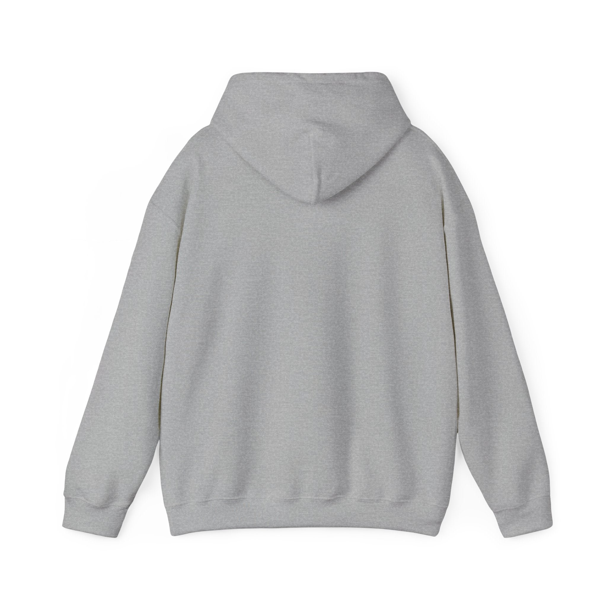 A plain gray hoodie with a hood and long sleeves, viewed from the back.