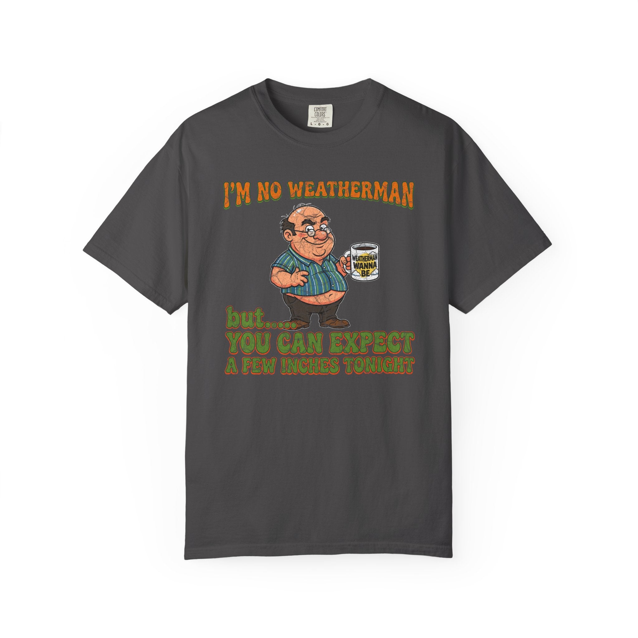 A dark grey unisex cotton t-shirt featuring a cartoon man and a funny weatherman quote.