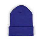 A blue cuffed knit beanie hat.