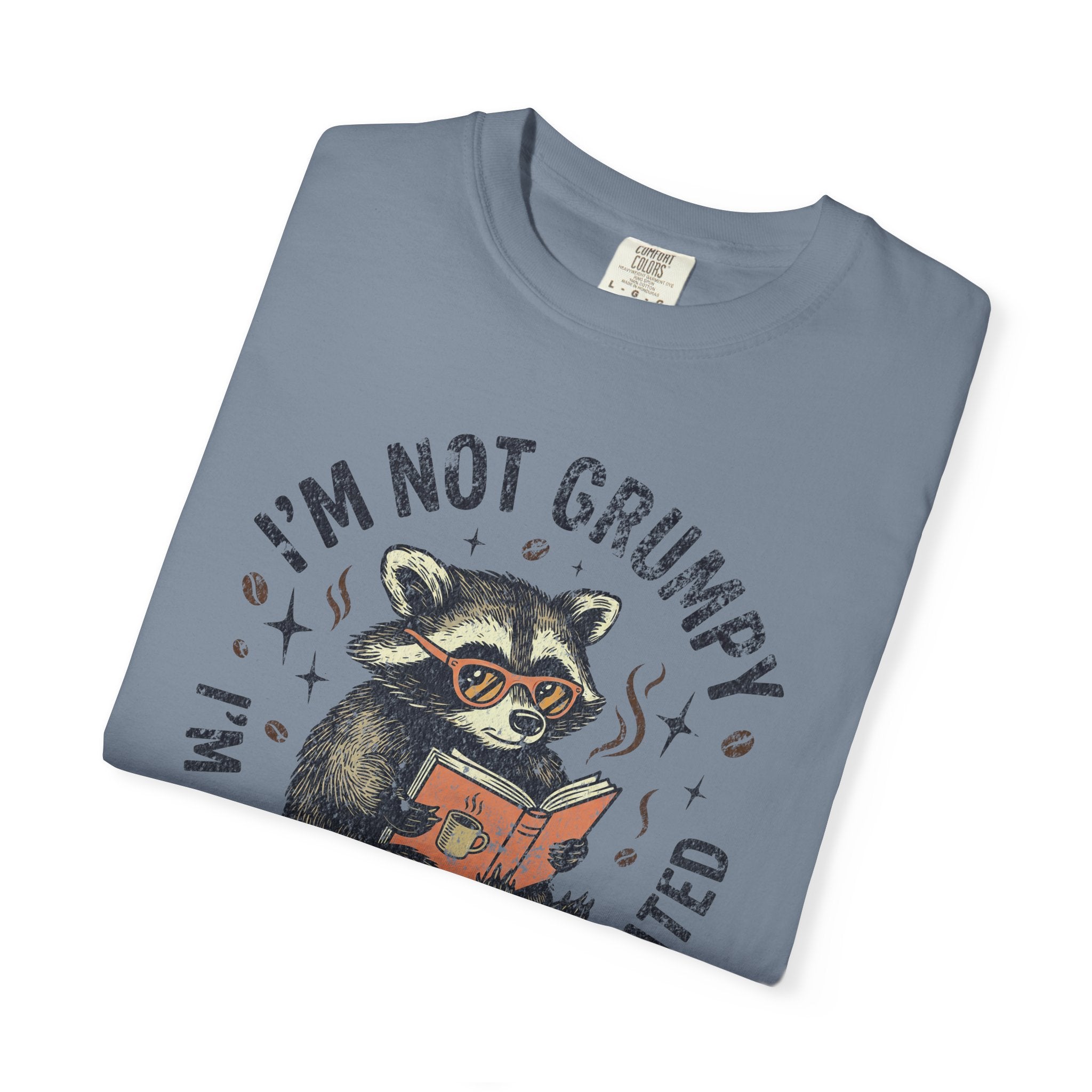 Blue Comfort Colors t-shirt with a graphic of a raccoon wearing glasses and reading a book.