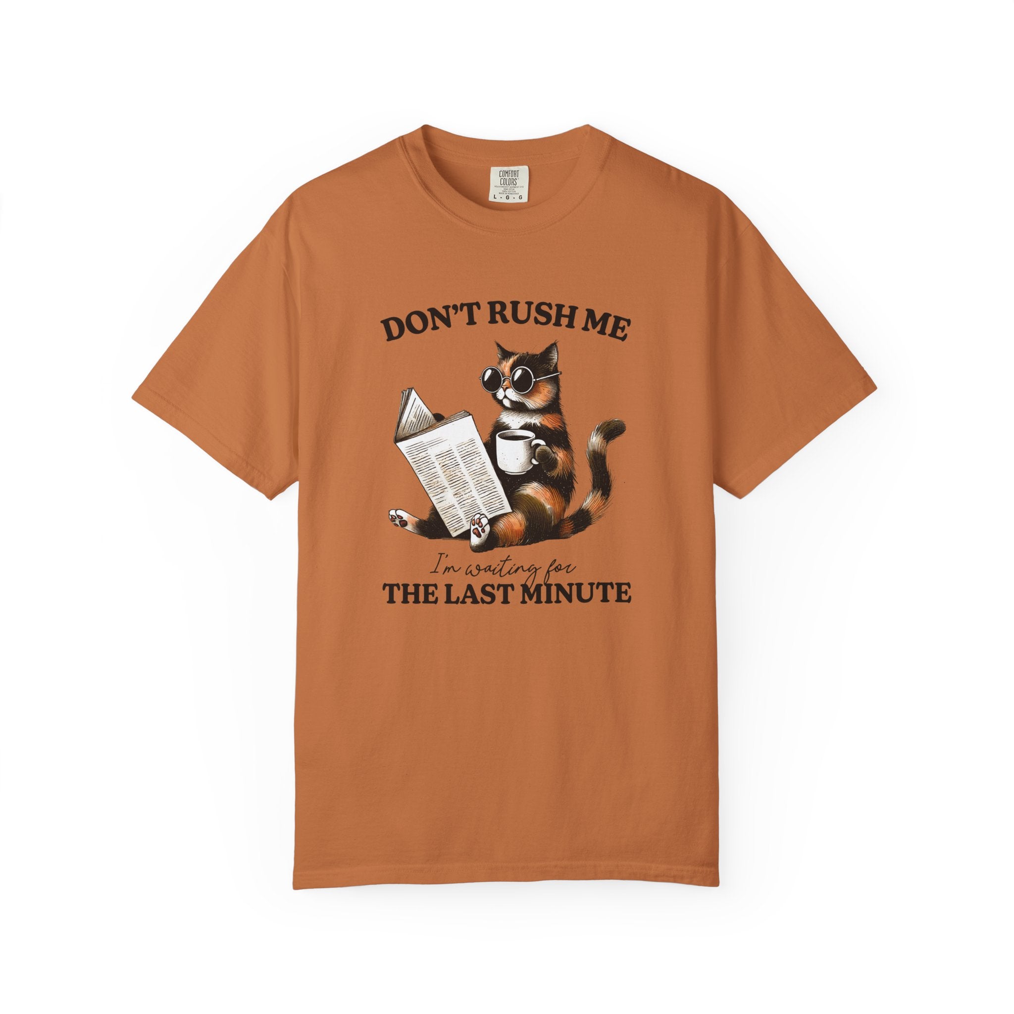 A rust-colored cotton t-shirt featuring a graphic of a cat wearing sunglasses reading a book.