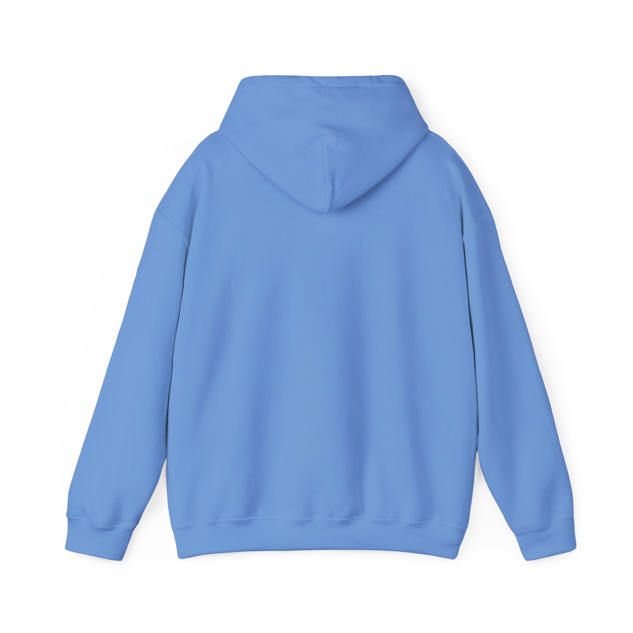 A plain pastel blue pullover hoodie shown from the back.