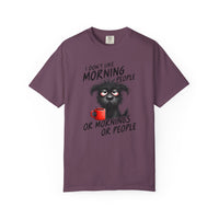 I Don't Like Morning People T-Shirt — Anti-Morning Tee for Night Owls