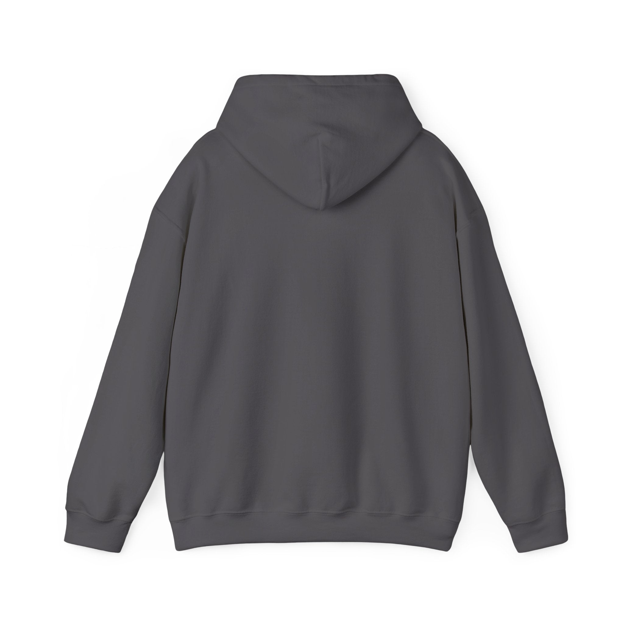 A dark gray hooded sweatshirt shown from the back.