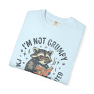 Light blue t-shirt featuring a raccoon reading a book with the text I'm Not Grumpy.