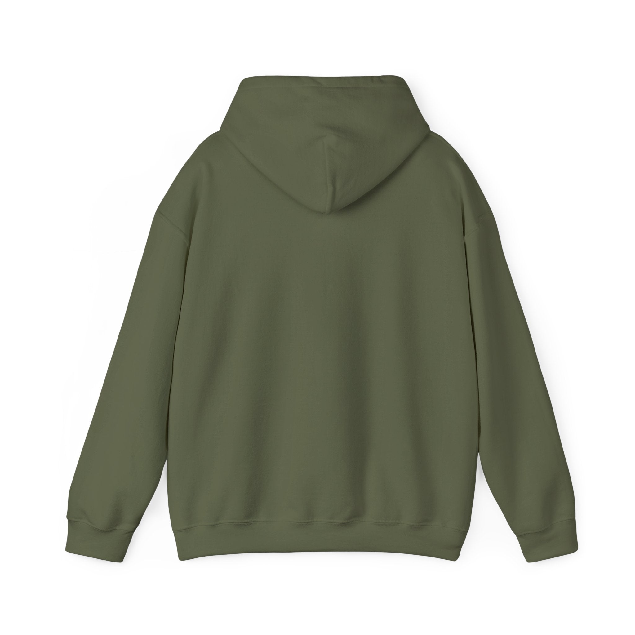 A plain olive green hooded sweatshirt shown from the back.
